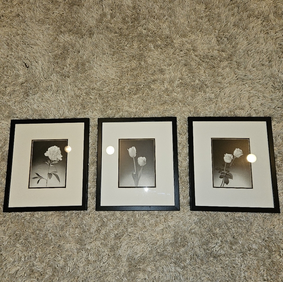 3 black and white framed flower pictures - Picture 1 of 12